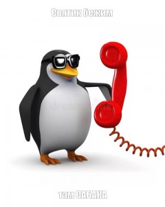 Create meme: disgruntled penguin meme, penguin calling by phone, the penguin with the phone