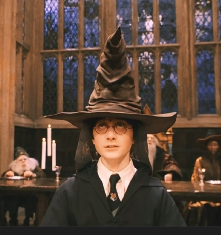 Создать мем: распределяющая шляпа из гарри поттера, гарри поттер и философский камень, hogwarts harry potter