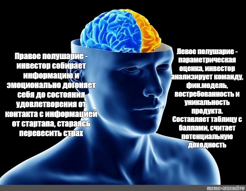 Атрофия полушарий мозга. В чём уникальность человеческого мозга. Боль в левом полушарии головы. Постоянно болит левое полушарие.