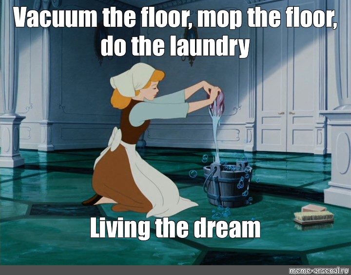 Meme: "Vacuum the floor, mop the floor, do the laundry ...