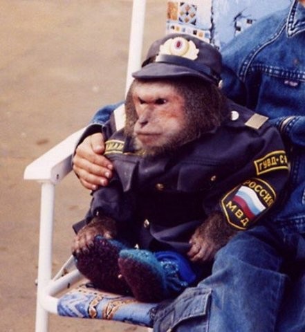 Create meme: werewolves in uniform, a monkey in a police uniform, A monkey in a police uniform