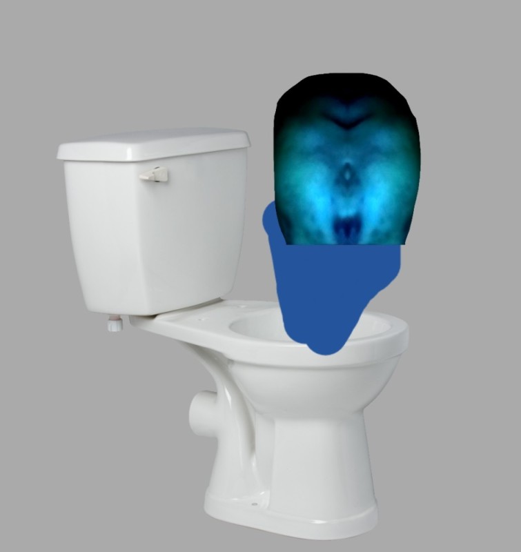 Create meme: flush toilet, toilet , american toilet bowl
