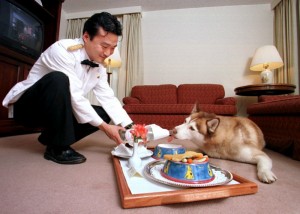 Создать мем: kim jong un dog, гостиничный сервис, гостиница для собак