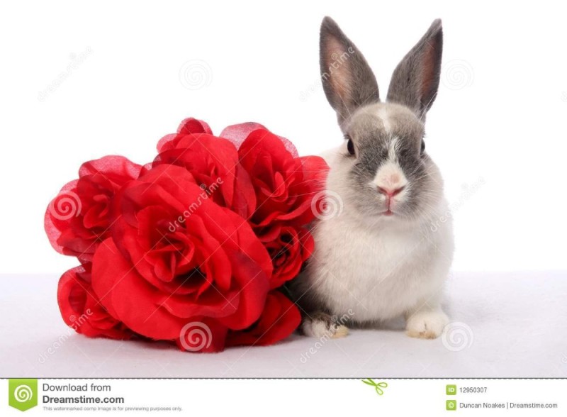Create meme: rabbit , white rabbit, bonzo rabbit on a white background