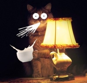 Create meme: cat with lamp time, cat with lamp