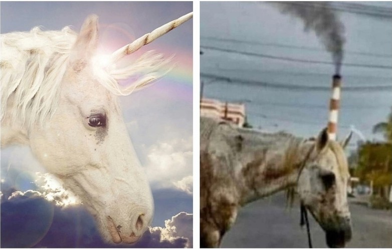 Create meme: real unicorns, the unicorn, the unicorn is real