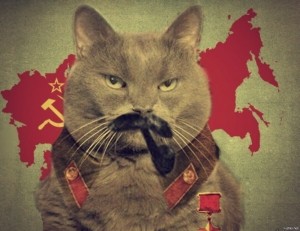 Создать мем: кошка, русский кот, кот коммунист