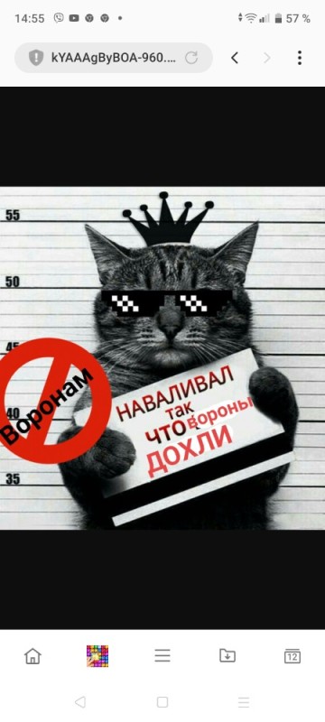 Create meme: a cat with a sign , cat criminal with a sign, the cat is the culprit