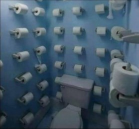 Create meme: toilet paper in the toilet