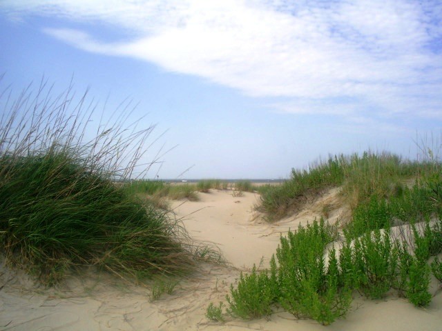 Create meme: Baltic Sea Curonian spit, white sands, dune beach
