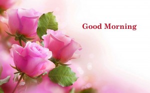 Create meme: happy birthday to the woman, pink flowers for cards, good morning wishes