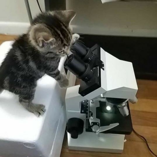 Создать мем: микроскоп альтами био, olympus vision микроскоп, olympus bh2 микроскоп