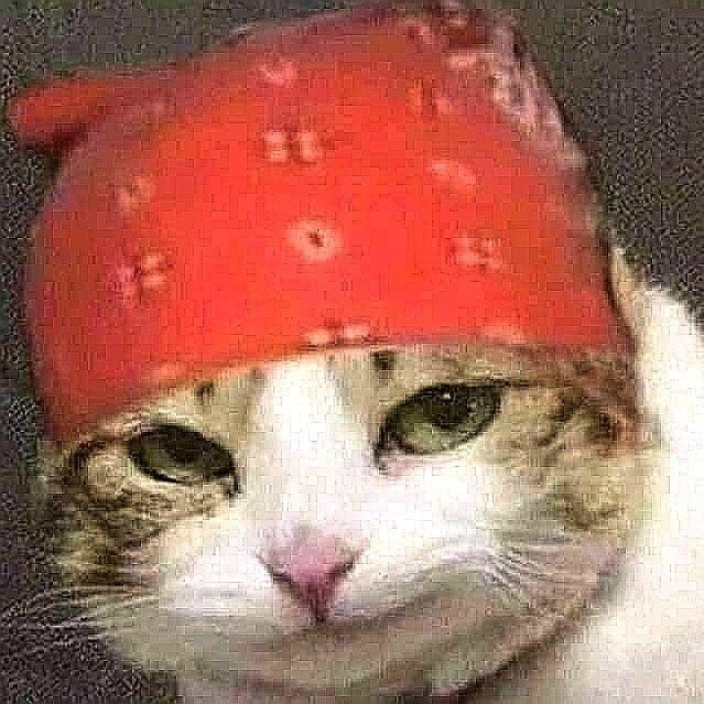 Create meme: a cat in a bandana, the cat in the red bandana, the cat in the strawberry hat