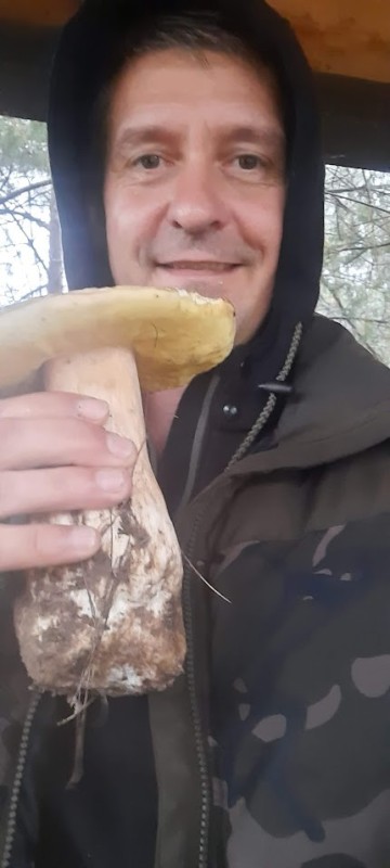 Create meme: a huge white mushroom, mushrooms , boletus mushroom