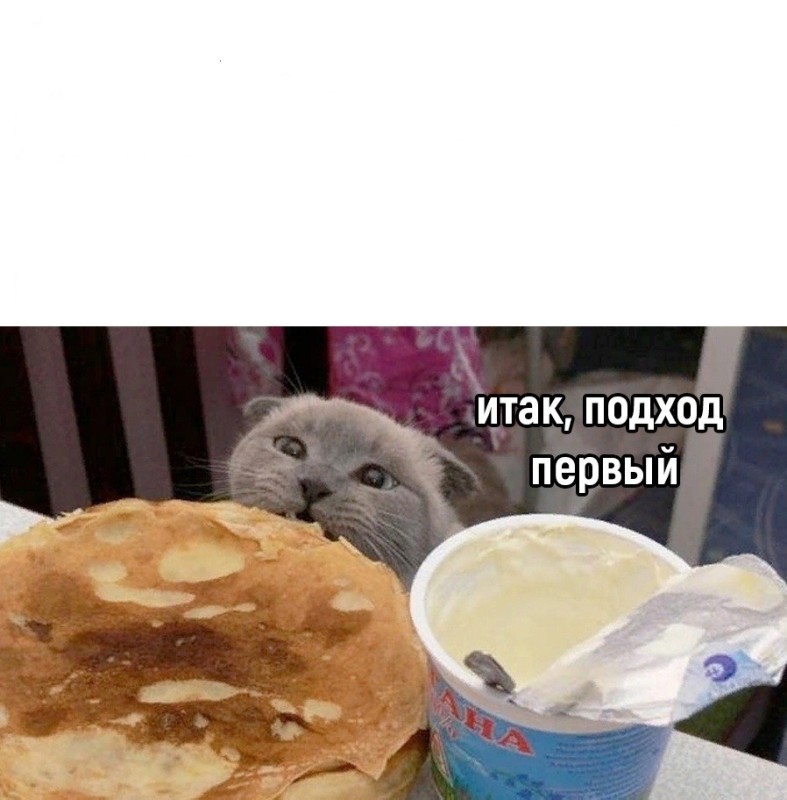 Create meme: cat with pancakes and sour cream, cat pancakes, the cat with the pancakes meme