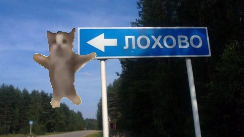 Create meme: funny names of villages and villages and rivers in russia, cat , cat shni shna shnapi