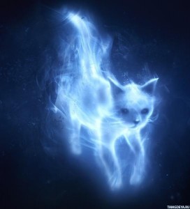 Create meme: Patronus is a Rhino, Patronus is a lynx, Patronus