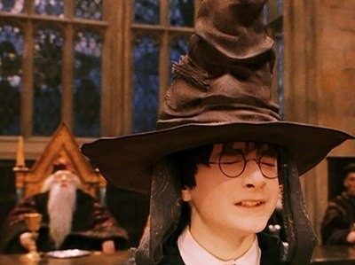 Create meme: Harry Potter , distributing hat, sinistra harry potter