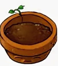 Create meme: Plants vs zombies pot, flower pot, a pot for plants