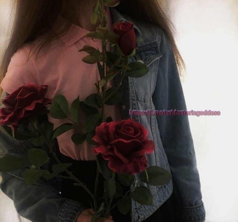 Создать мем: розы 70 см, красивые розы, сохры цветы