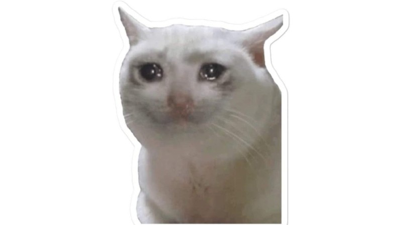 Создать мем: плачущий кот мем, мем грустный котик, плачущий кот из мема