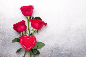 Create meme: red roses, background roses