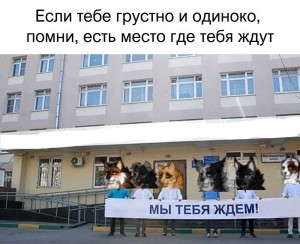 Создать мем: мемы, школа, юмор