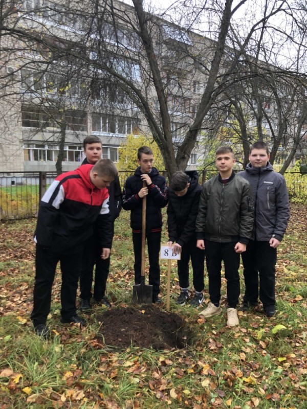 Create meme: the students of the school, greening the city, kolyshleysky district nature reserve