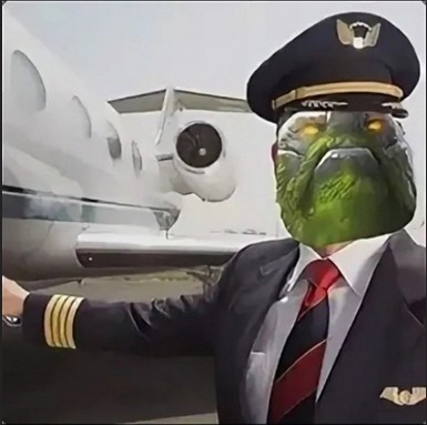 Создать мем: пилот гражданской авиации кравченко москва, pls, meslek