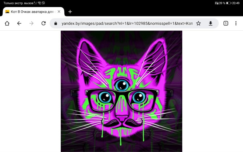 Create meme: neon cat, three-eyed cat neon, neon seals