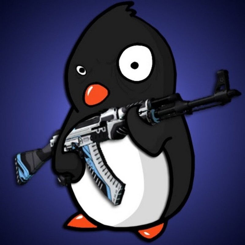 Create meme: cool penguin, avatar steam cs go, penguin with a gun