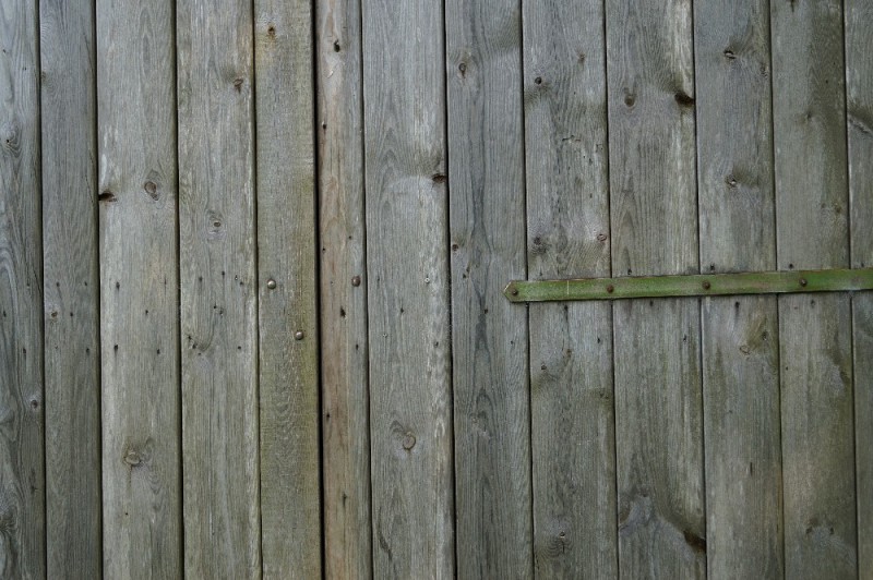 Create meme: wooden fence texture, fence tree, old wooden fence