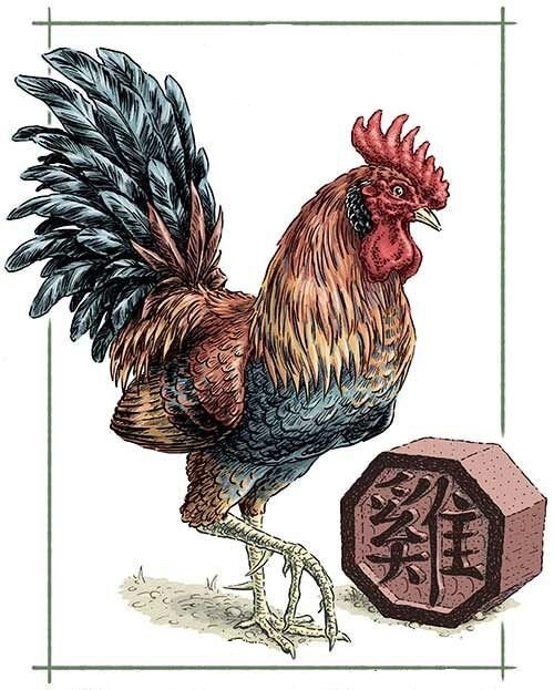 Create meme: rooster pgn, cock on the egg, rooster chicken