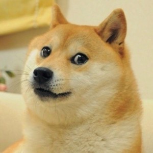 Create meme: doge meme, meme, memes