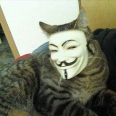 Создать мем: кот анонимус мем, иван семин смоленск, кот в маске анонимуса