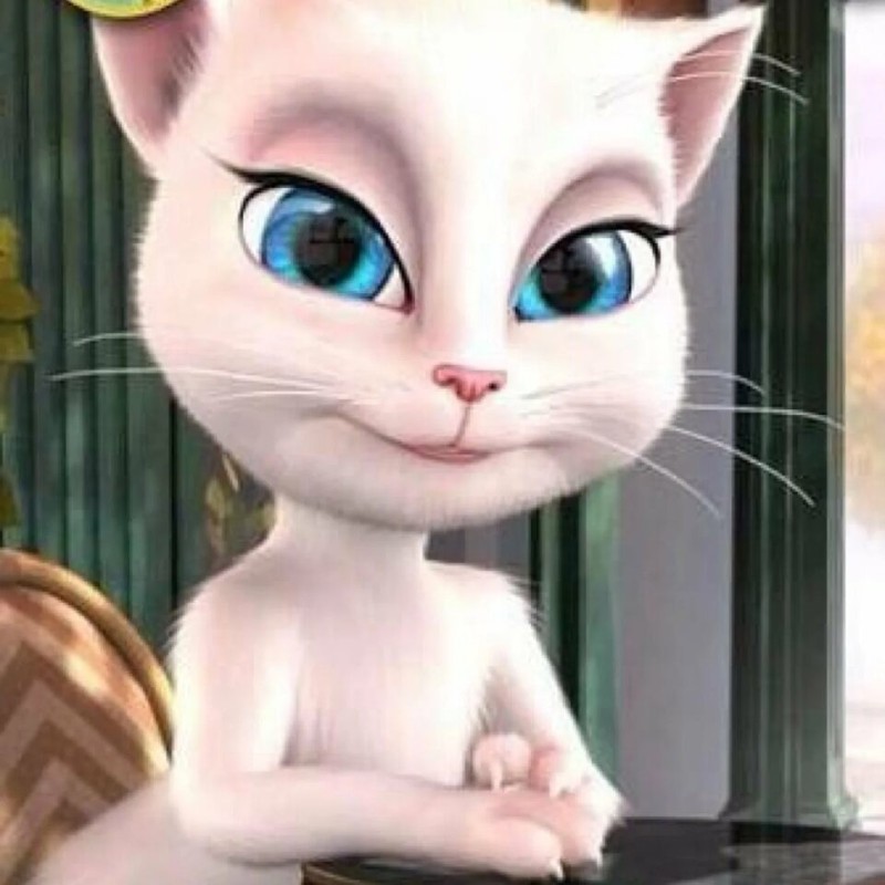 Создать мем: talking tom, моя говорящая анжела, моя говорящая анджела