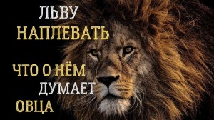 Create meme: Leo the lion, Leo, wise words