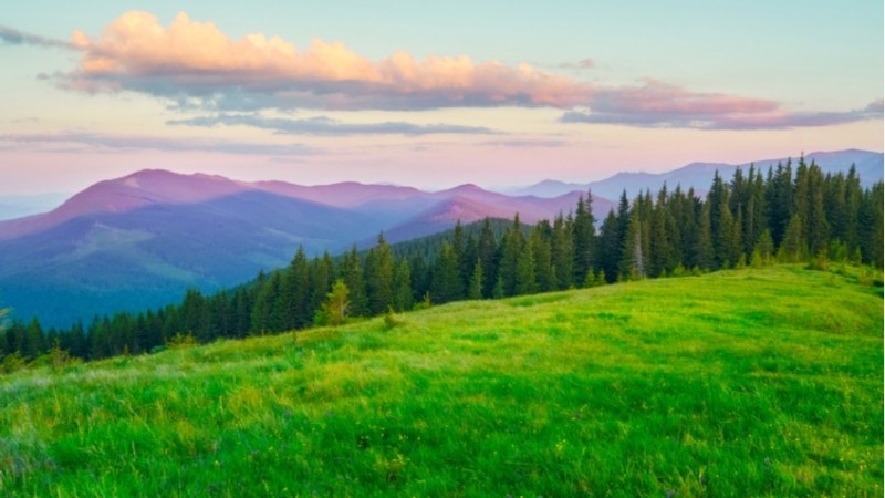 Create meme: mountain landscape, forest mountains , carpathians nature