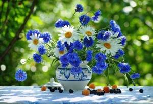 Create meme: wild flowers, cornflowers in a vase, a bouquet of daisies and cornflowers