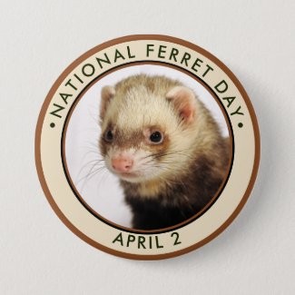 Create meme: ferret animal, weasel ferret, a domestic ferret