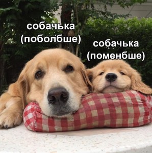 Создать мем: лабрадор ретривер, золотистый ретривер собака, милые собаки