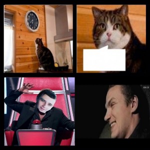 Создать мем: the cat, бенедикт камбербэтч с котом, мемы 2014
