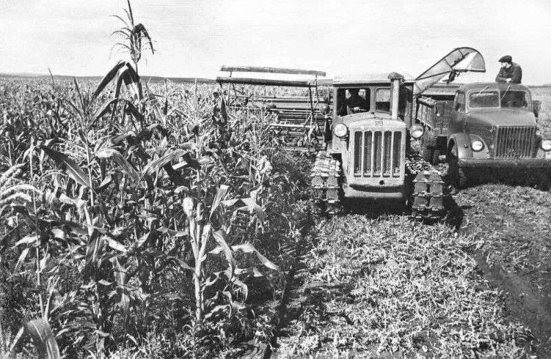 Create meme: Corn harvesting is old, corn harvesting, harvesting of corn in the USSR