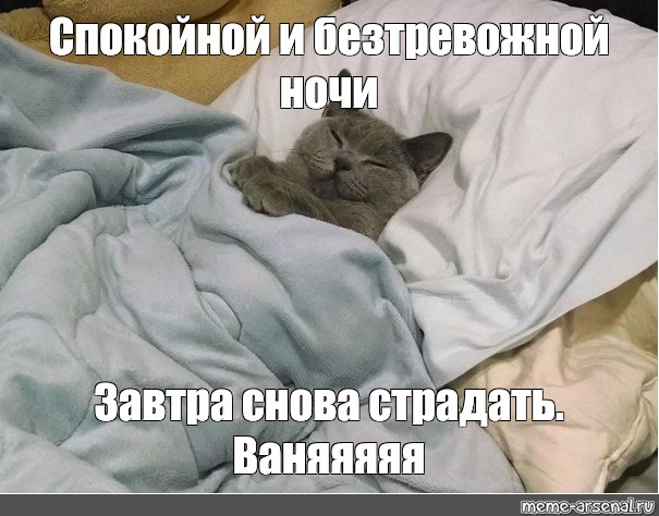 Опять страдать. Кот ложится спать Мем. Мем кот всем кто ложится спать. Спокойной ночи машина Мем. Я спокоен Мем кот.
