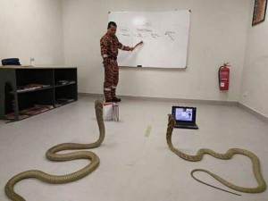 Create meme: python programming, teaching python programming, python programming funny picture