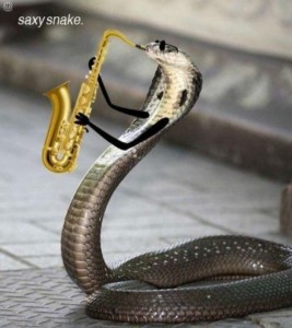 Создать мем: змея с руками, королевская кобра, кобра змея