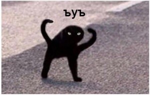 Создать мем: ьуь кот, кошка, ъуъ съука черный кот мем