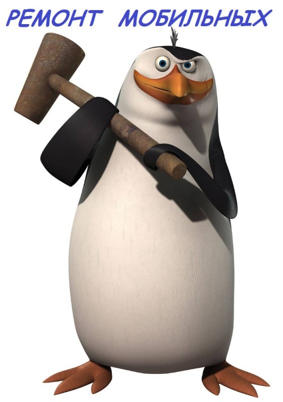 Create meme: penguin rico, Rico the penguins of Madagascar, the penguins of Madagascar 