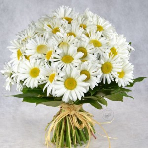 Create meme: a bouquet of, chrysanthemum, bouquet small
