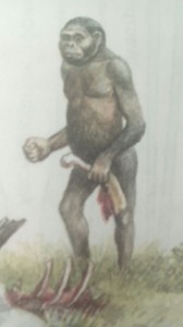 Create meme: australopithecus, homo, Beat the fuck up
